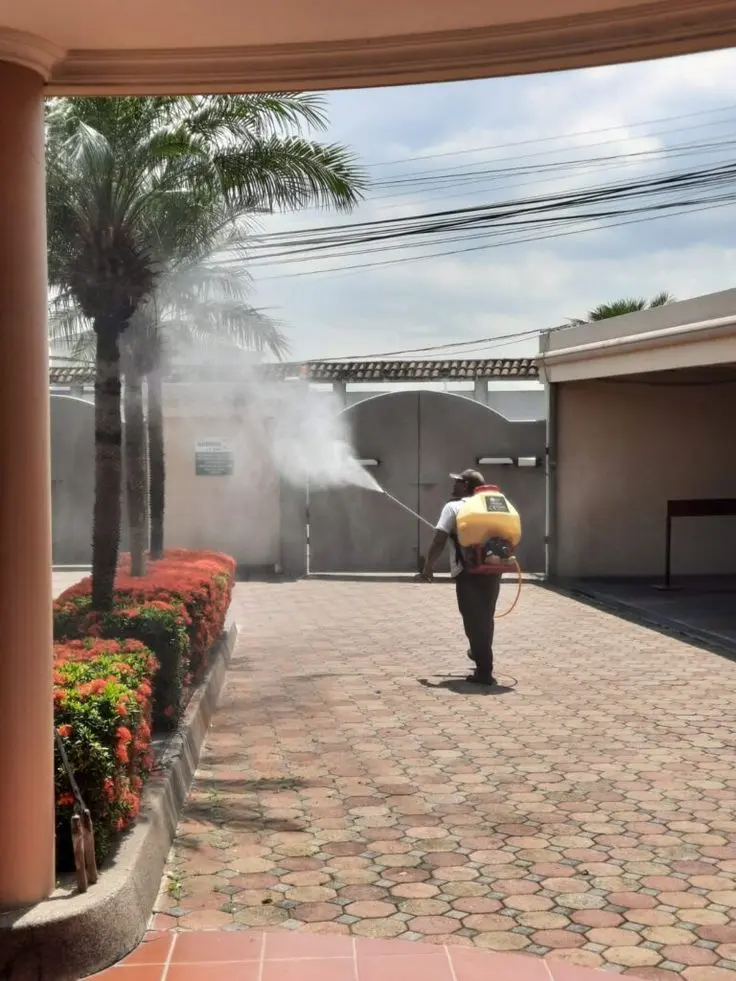 4 Bedroom Fumigation