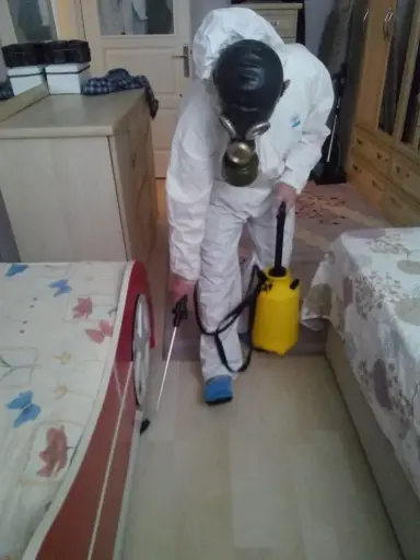 1 Bedroom Fumigation